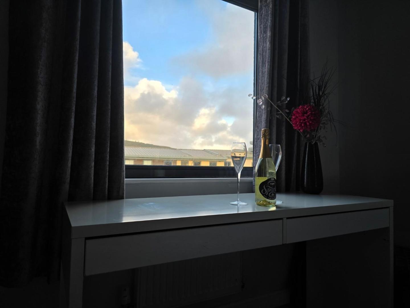 2 Spacious In The Heart Of The Marina Swansea
